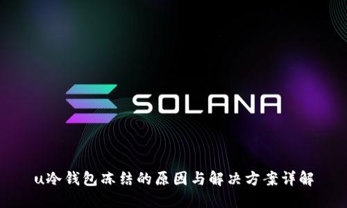 u冷钱包冻结的原因与解决方案详解