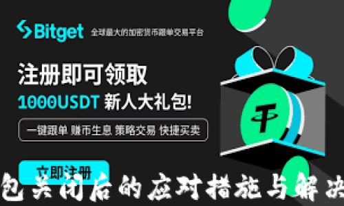 
冷钱包关闭后的应对措施与解决方案