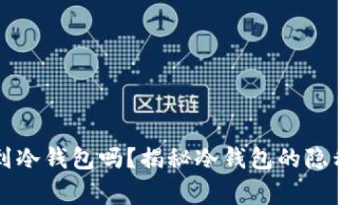 警察能查到冷钱包吗？揭秘冷钱包的隐私与安全性