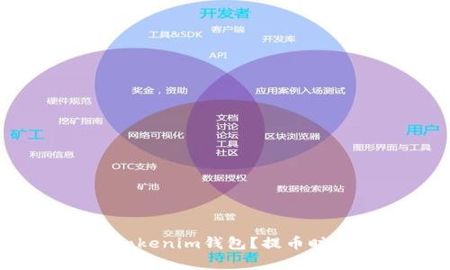 如何将FIL币提到Tokenim钱包？提币时间详解及注意事项