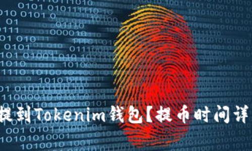如何将FIL币提到Tokenim钱包？提币时间详解及注意事项
