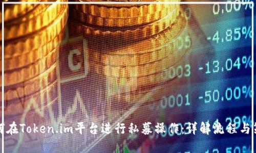 如何在Token.im平台进行私募操作：详解流程与策略