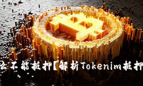 Tokenim为什么不能抵押？解析Tokenim抵押机制及其影响