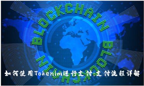 如何使用Tokenim进行支付：支付流程详解