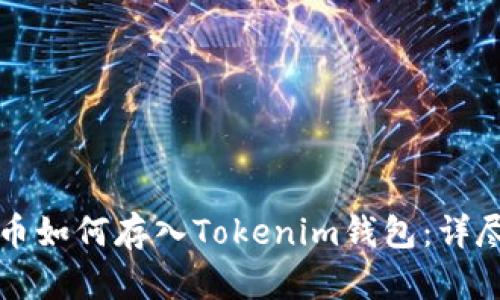 狗狗币如何存入Tokenim钱包：详尽指南