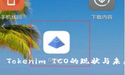 ### Tokenim ICO的现状与未来展望