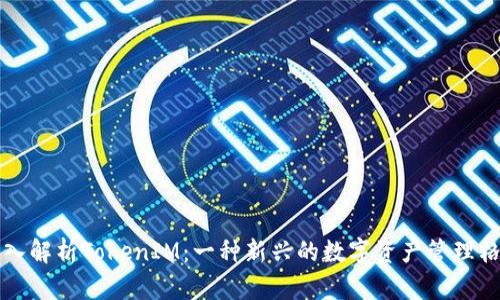 深入解析TokenIM：一种新兴的数字资产管理格式