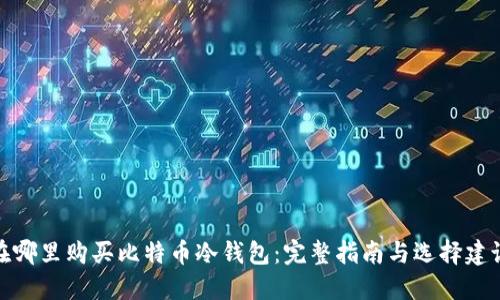 在哪里购买比特币冷钱包：完整指南与选择建议