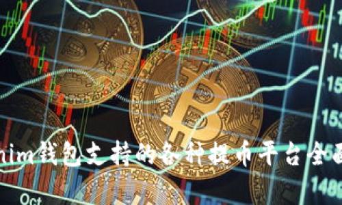 Tokenim钱包支持的各种提币平台全面解析
