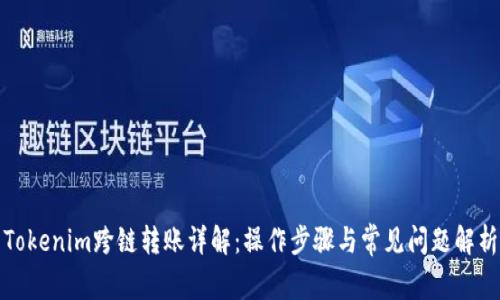 Tokenim跨链转账详解：操作步骤与常见问题解析