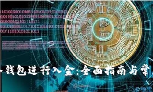 如何使用冷钱包进行入金：全面指南与常见问题解答