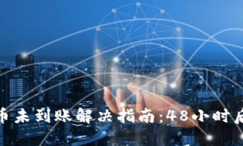 TP冷钱包提币未到账解决指南：48小时后的应对措施