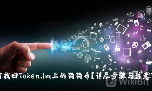 如何找回Token.im上的狗狗币？详尽步骤与注意事项