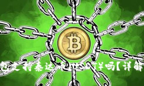 Tokenim钱包支持泰达币（USDT）吗？详解及使用指南