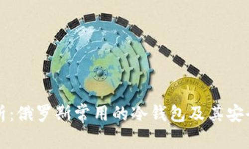 全面解析：俄罗斯常用的冷钱包及其安全性分析