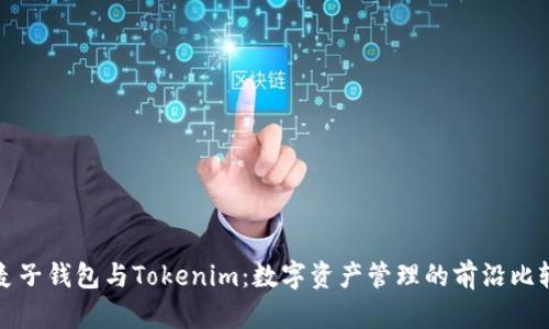 麦子钱包与Tokenim：数字资产管理的前沿比较