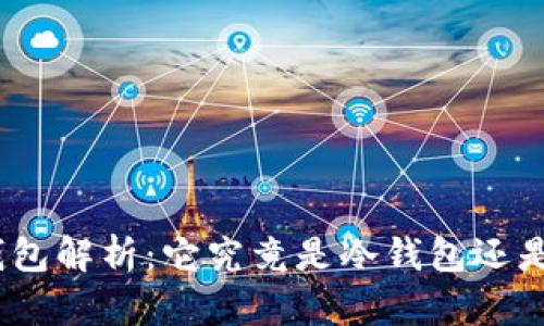 : 芭蕾钱包解析：它究竟是冷钱包还是热钱包？