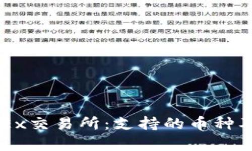 深入了解OKEx交易所：支持的币种及其潜力分析