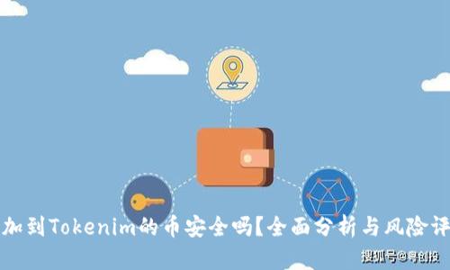 添加到Tokenim的币安全吗？全面分析与风险评估