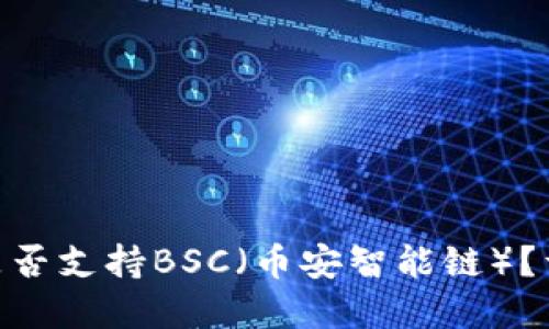 Tokenim钱包是否支持BSC（币安智能链）？详解及使用指南