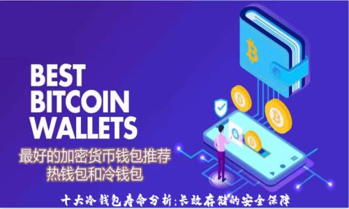 
十大冷钱包寿命分析：长效存储的安全保障