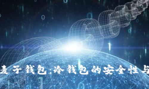 全面解析麦子钱包：冷钱包的安全性与使用攻略