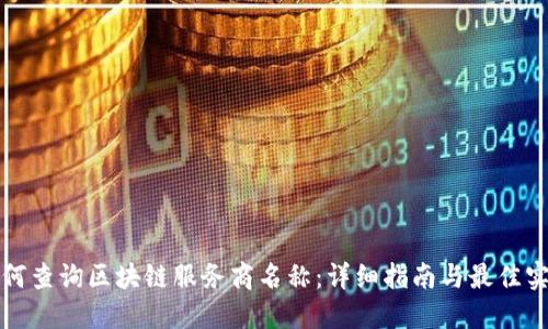 如何查询区块链服务商名称：详细指南与最佳实践