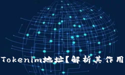 什么是Tokenim地址？解析其作用和风险