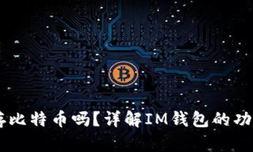 IM钱包可以存比特币吗？详解IM钱包的功能与使用指南