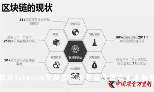 探讨Tokenim价格虚高的背后原因及未来趋势