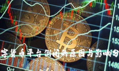 数字货币平台倒闭的原因与影响分析
