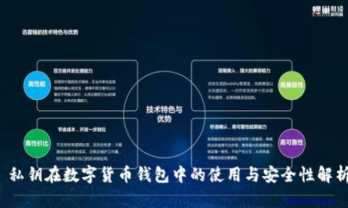  私钥在数字货币钱包中的使用与安全性解析