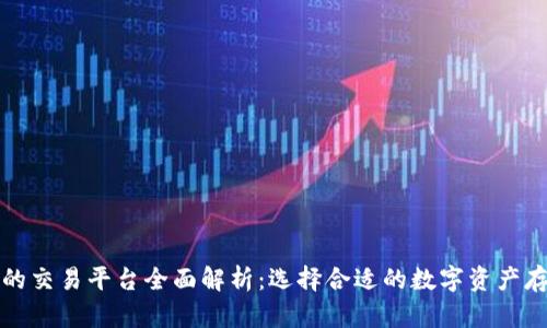 冷钱包支持的交易平台全面解析：选择合适的数字资产存储解决方案
