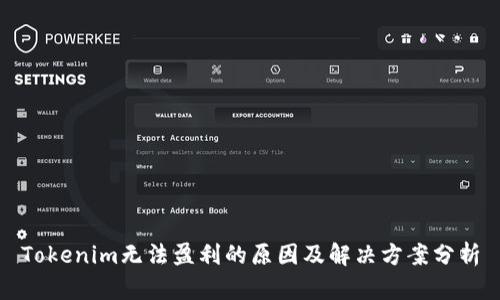 Tokenim无法盈利的原因及解决方案分析
