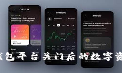 如何提取冷钱包平台关门后的数字资产？详尽指南