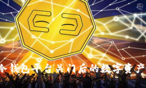 如何提取冷钱包平台关门后的数字资产？详尽指南