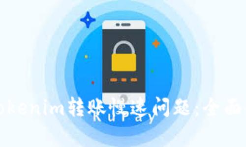 如何解决Tokenim转账慢速问题：全面解析与方案