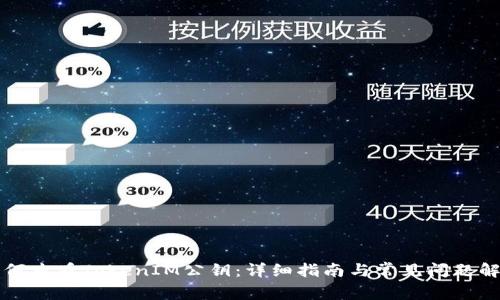 如何查看TokenIM公钥：详细指南与常见问题解析