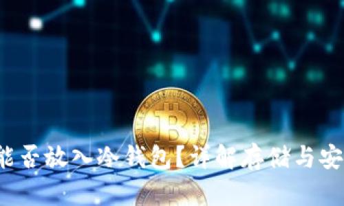 ICP能否放入冷钱包？详解存储与安全性