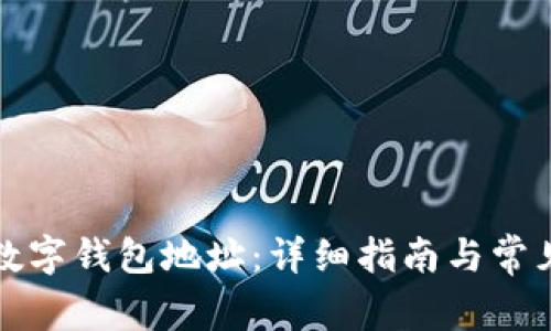 如何设置数字钱包地址：详细指南与常见问题解答
