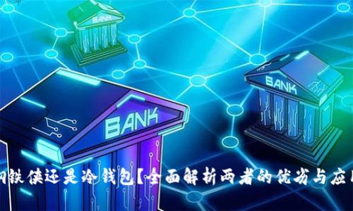 选择钢铁侠还是冷钱包？全面解析两者的优劣与应用场景