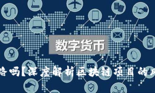 Token.im会跑路吗？深度解析区块链项目的风险和未来发展