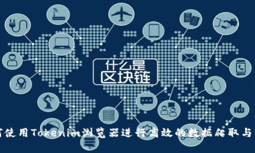 如何使用Tokenim浏览器进行高效的数据爬取与分析