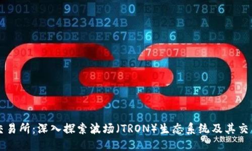 波场交易所：深入探索波场（TRON）生态系统及其交易平台