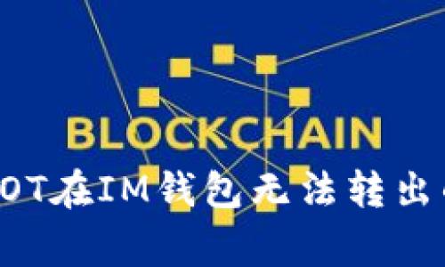 如何解决DOT在IM钱包无法转出的常见问题