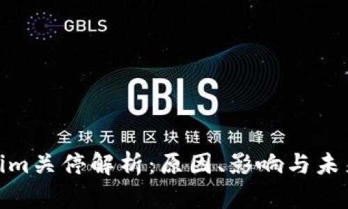 Tokenim关停解析：原因、影响与未来趋势