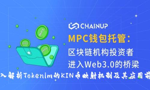 深入解析Tokenim的KIN币映射机制及其应用前景