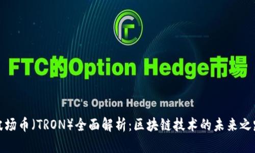 波场币（TRON）全面解析：区块链技术的未来之路