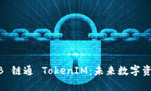 深入解析 IAB 链通 TokenIM:未来数字资产管理新风口