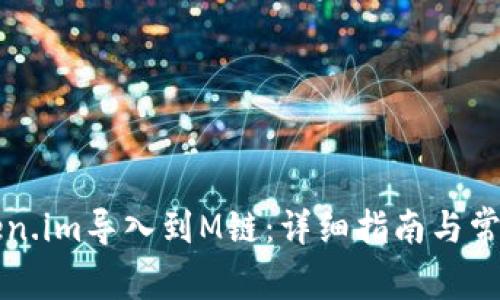 如何将Token.im导入到M链:详细指南与常见问题解析